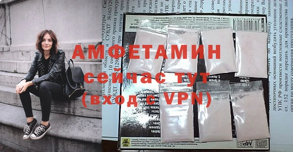 крисы Абаза