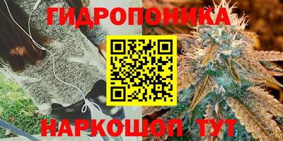 винт Ярославль