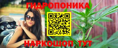 винт Ярославль