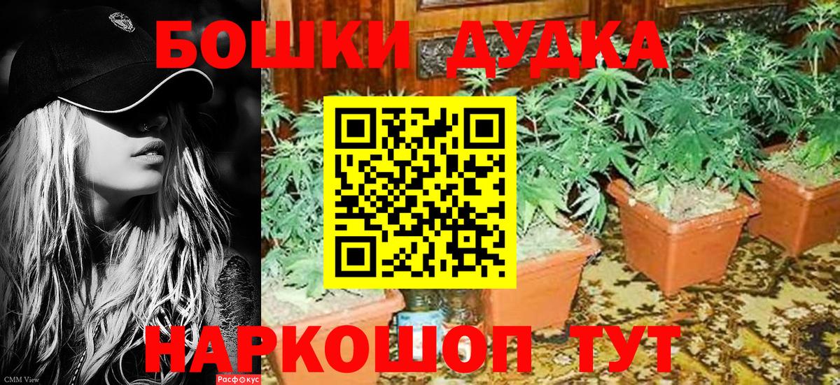 Алатырь  Канабис планчик  Вход с VPN  Канабис AK-47 
